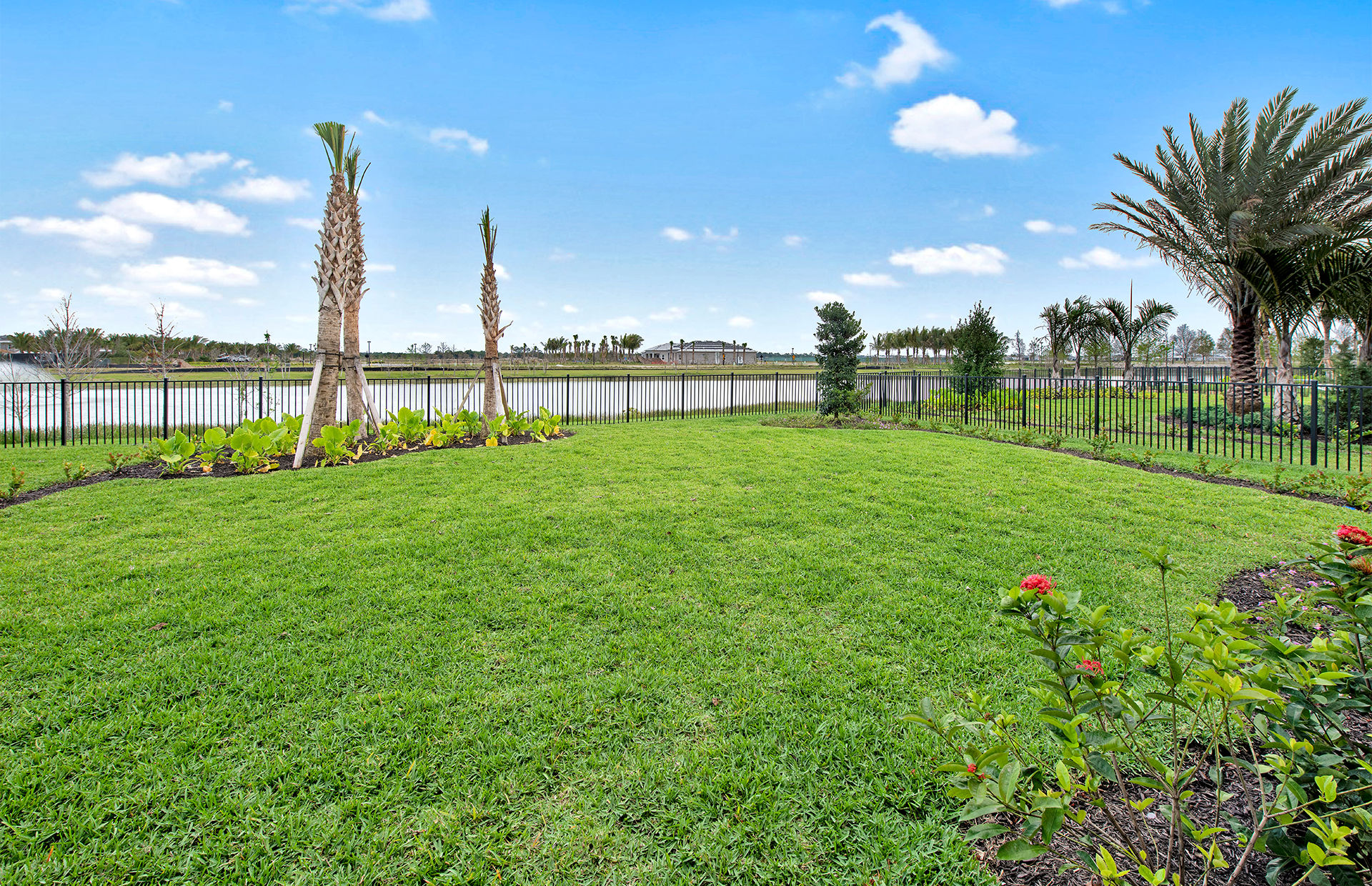 Avondale At Avenir photo 6