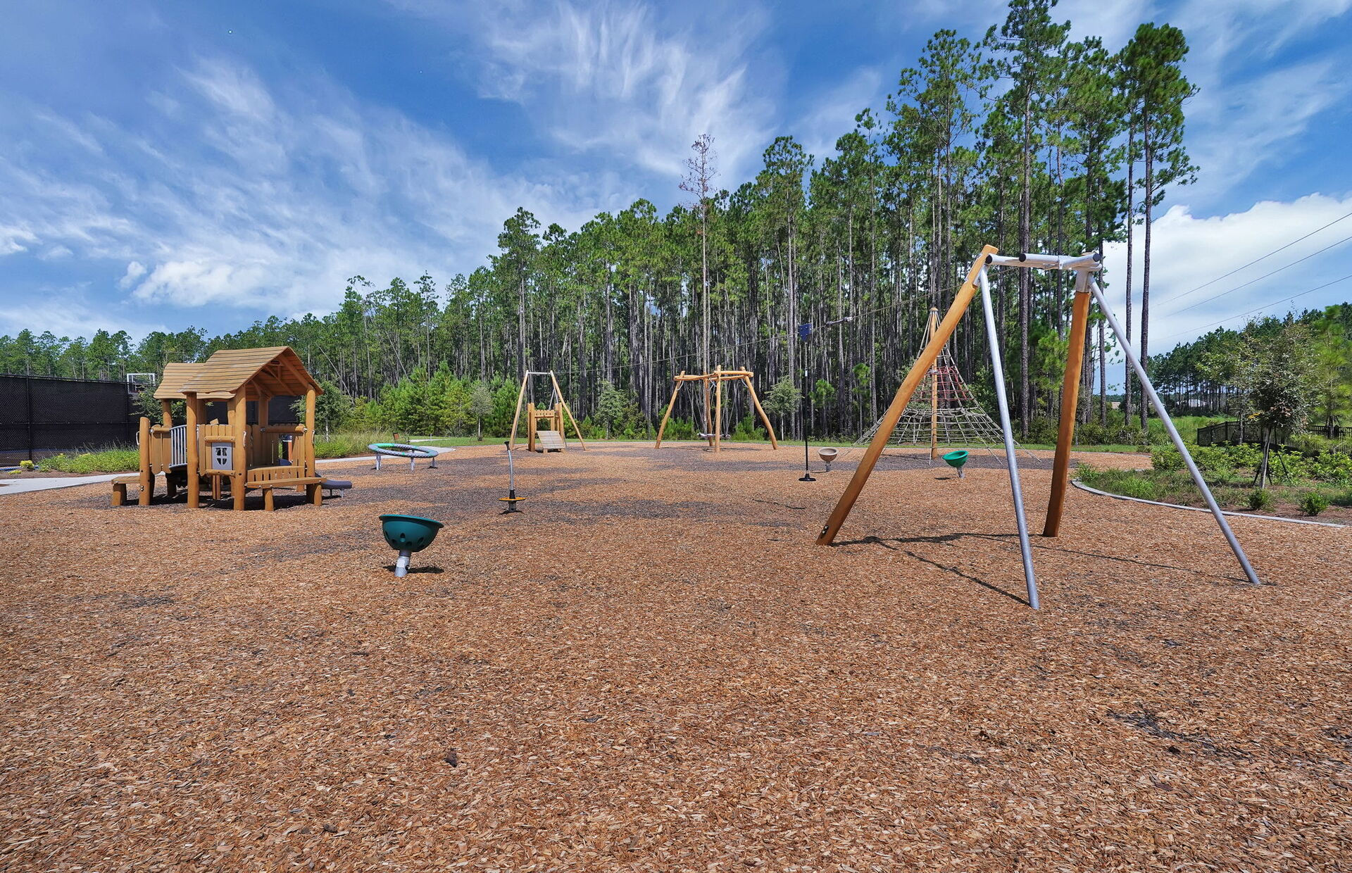 Westerly Park At Wildlight photo 6