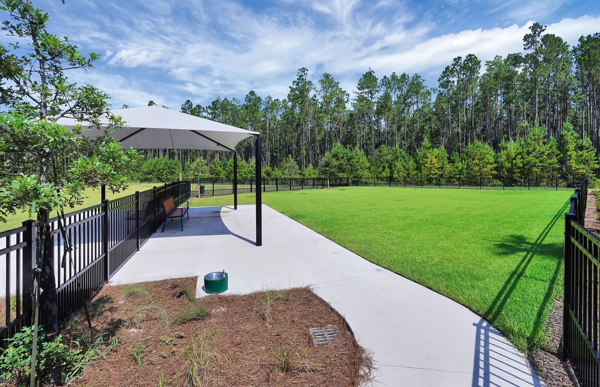 Westerly Park At Wildlight photo 3