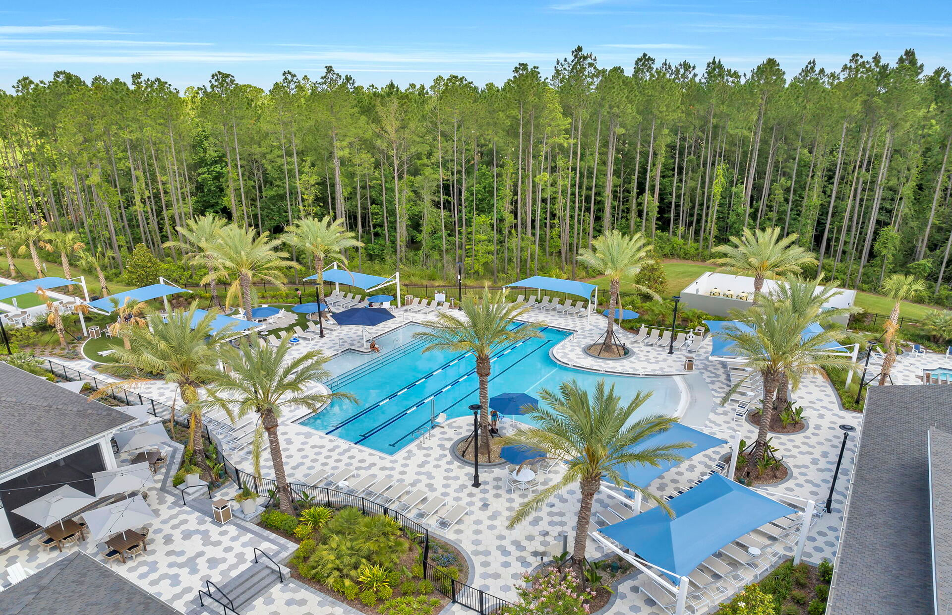 Del Webb Wildlight photo 5