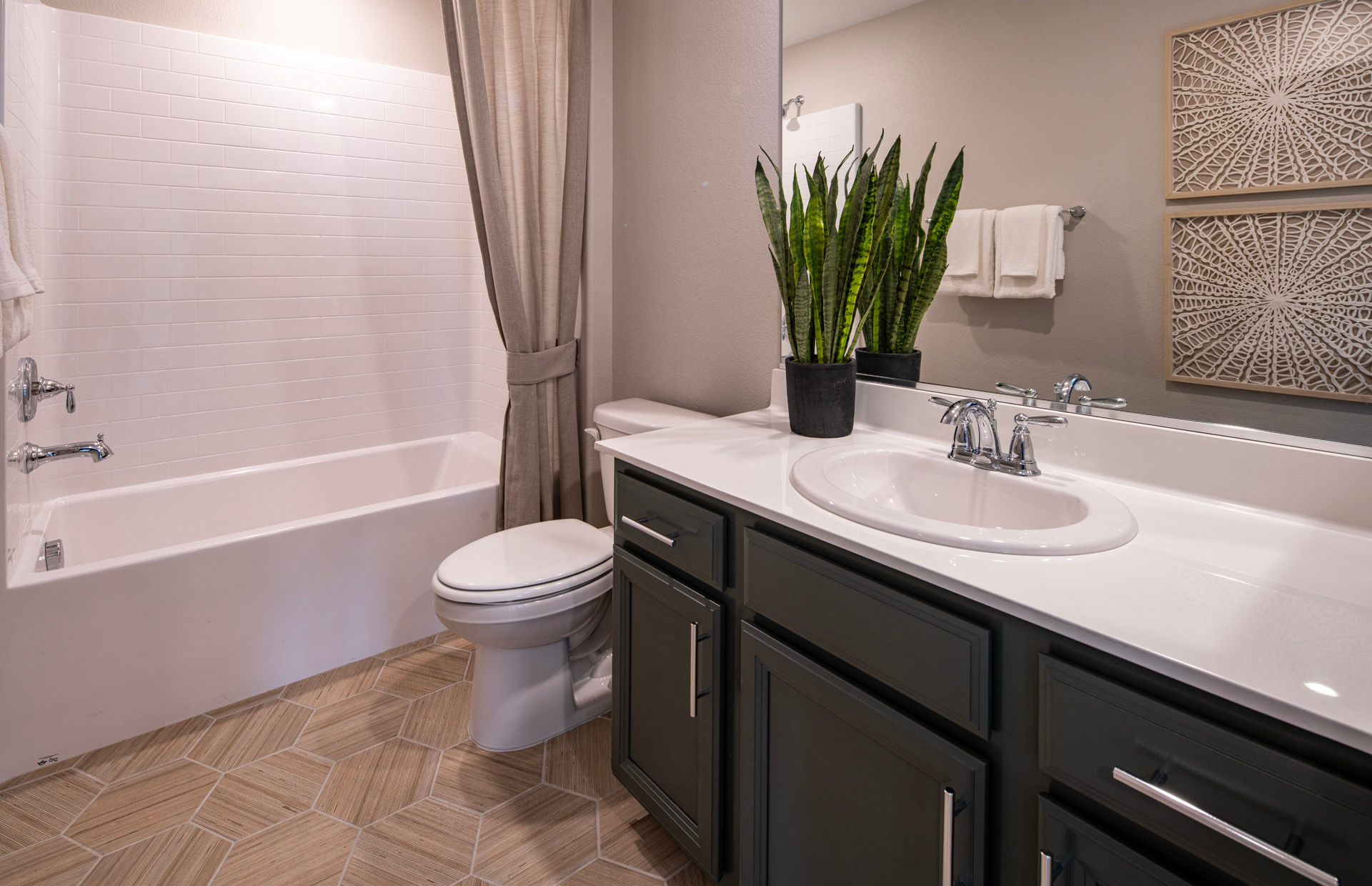 Paldona photo 3